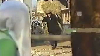 Страстна Целувка На Турска Двойка В Горещо Видео