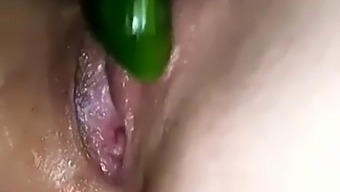 Solo Female Enjoys Toy Play And Masturbation With Cucumber