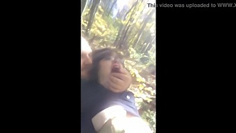 Stay Away From The Woods: A Cautionary Tale