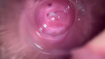 Close-Up Video Of Tight Brunette'S Wet And Creamy Pussy